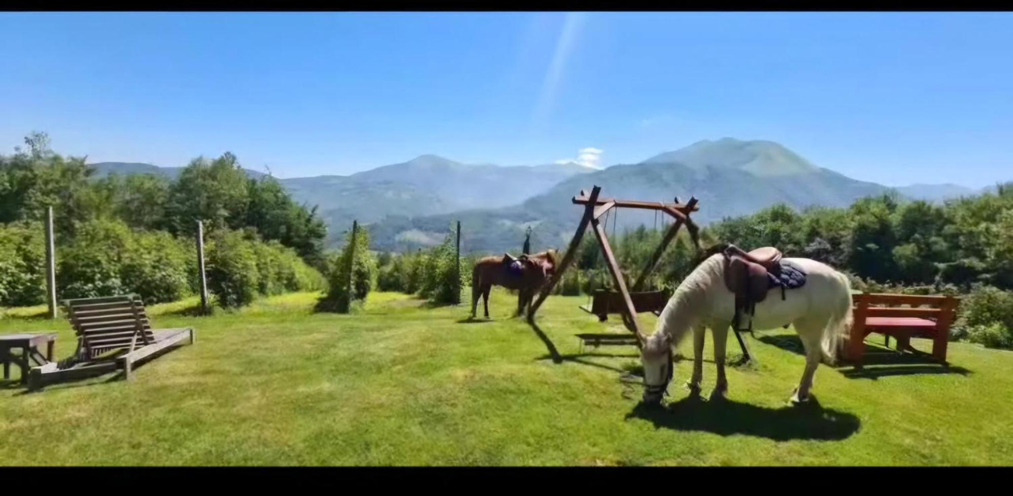 Dağ evi Kolibe Coric *
