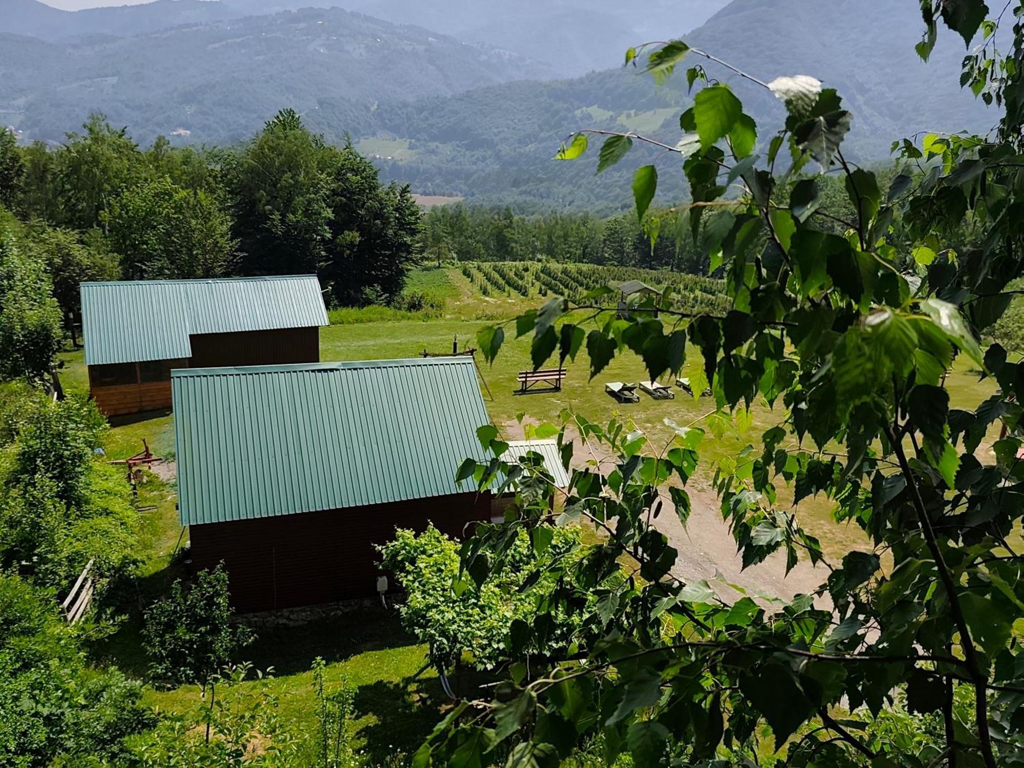 Kolibe Coric Dağ evi